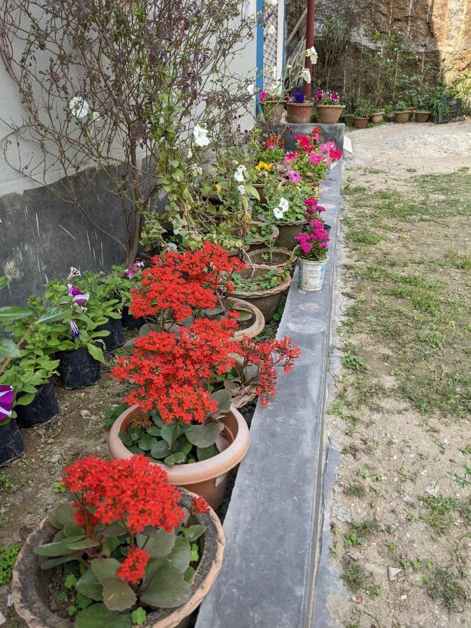 Nilachal Homes Guwahati Buitenkant foto